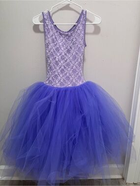 Purple Lace & Tulle Dance Dress Adult Small
